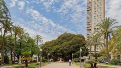 Flat in Altozano photo 72