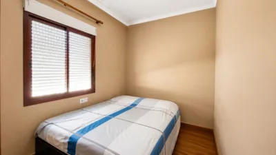 Apartment in Zona los Frutales photo 3