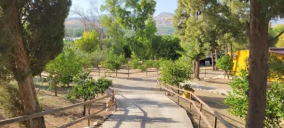 Rustic Finca in South Of Spain photo 5