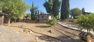 Finca rústica en South Of Spain photo 66