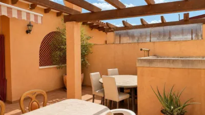 Apartment in Zona los Frutales photo 17