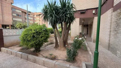 Apartment in Ensanche photo 25
