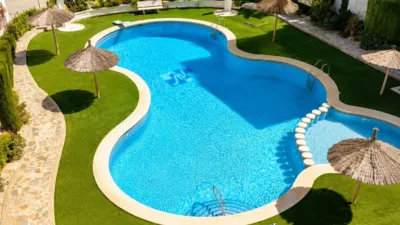 Apartment in Cabo Roig photo 16