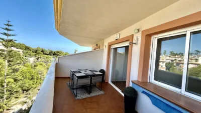 Pis – Orihuela, Villa Martín - Vista 4