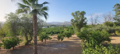 Finca rústica en South Of Spain photo 6