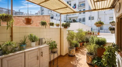 Apartment in Russafa photo 4