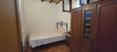 Finca rústica en South Of Spain photo 48