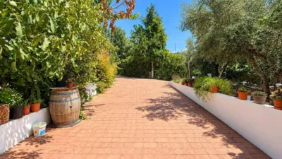 Rustic Finca in Otras photo 5
