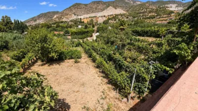 Rustic Finca in Otras photo 25