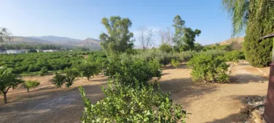 Finca rústica en South Of Spain photo 80