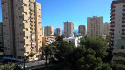 Apartment on Calle del Limonar photo 5