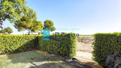 Apartment in Condado de Alhama photo 10