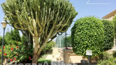 Flat on Carrer de Sant Bartomeu photo 37