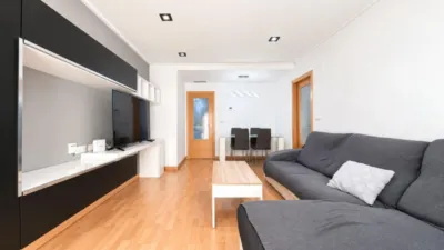 Pis – Elche/Elx, Casablanca, el Baix Vinalopó - Vista 2