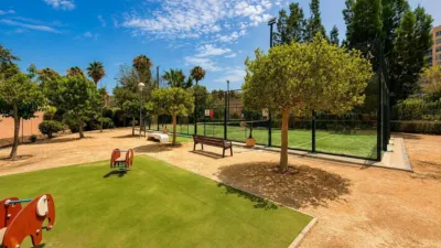 Apartment on Calle Cat Abelardo Rigual photo 39