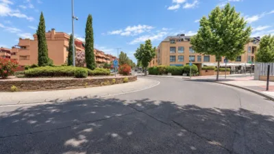 Flat in Europolis photo 32