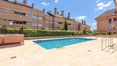 Flat in Europolis photo 2