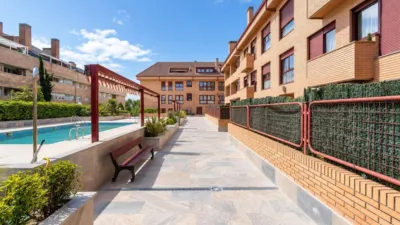 Flat in Europolis photo 29