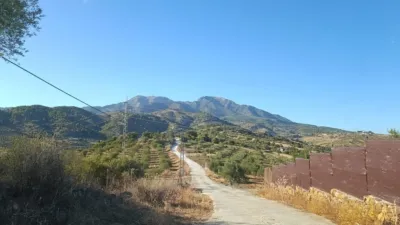 Rustic finca on Loma del Esparragal Street. Plot 317, No. 8 photo 17