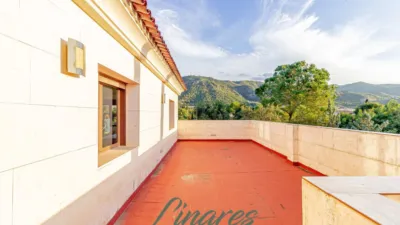 Chalet in Carril de los Sastres photo 51