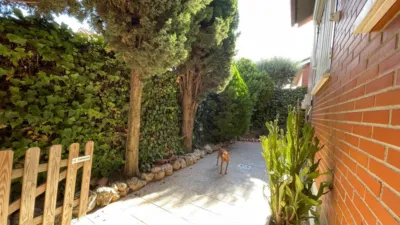 Chalet in Rivas Centro photo 61