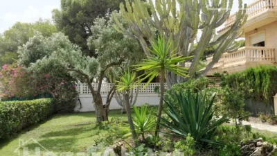 Flat on Carrer de Sant Bartomeu photo 40