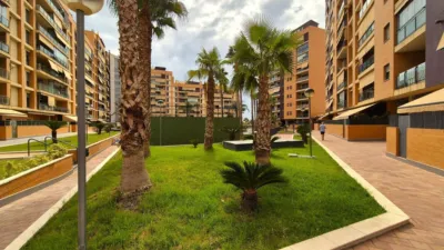 Apartment on Calle Médico Ricardo Ferré photo 35