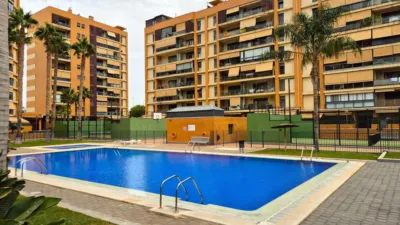 Apartment on Calle Médico Ricardo Ferré photo 39