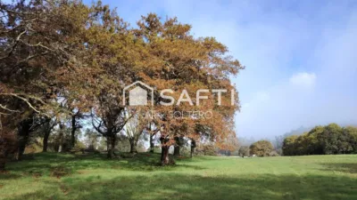 Rustic House in Negreira photo 49