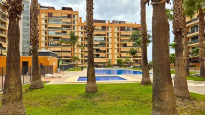 Apartment on Calle Médico Ricardo Ferré photo 37