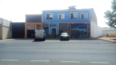 Miniatura 7