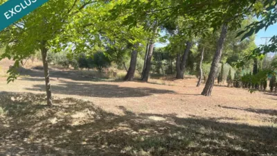 Rustic house in Almansa photo 12