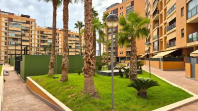 Apartment on Calle Médico Ricardo Ferré photo 36