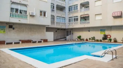 Apartment in Acequion photo 2