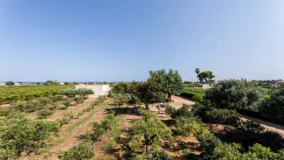 Rustic Finca in Alcanar photo 16