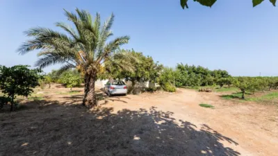 Rustic Finca in Alcanar photo 50