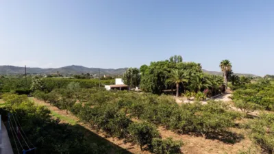 Rustic Finca in Alcanar photo 46