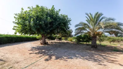 Rustic Finca in Alcanar photo 48
