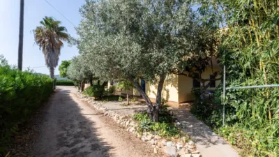 Rustic Finca in Alcanar photo 10