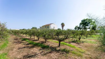 Rustic Finca in Alcanar photo 5