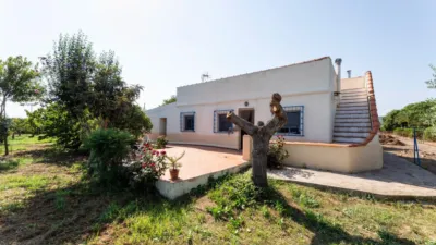 Rustic Finca in Alcanar photo 51