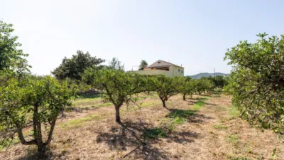 Rustic Finca in Alcanar photo 11