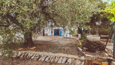House in Catalonia photo 15