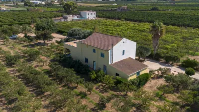 Rustic Finca in Alcanar photo 4