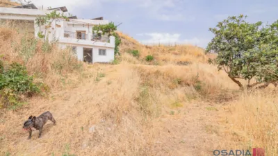Rustic finca in Vega de Granada, South Zone photo 40