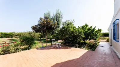 Rustic Finca in Alcanar photo 54