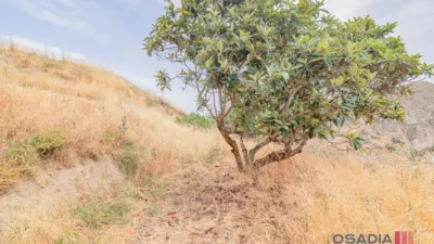 Rustic finca in Vega de Granada, South Zone photo 41