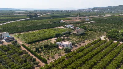 Rustic Finca in Alcanar photo 2