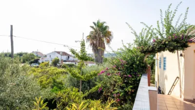Rustic Finca in Alcanar photo 12