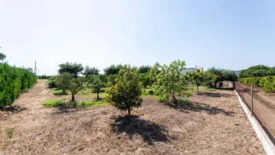 Rustic Finca in Alcanar photo 64